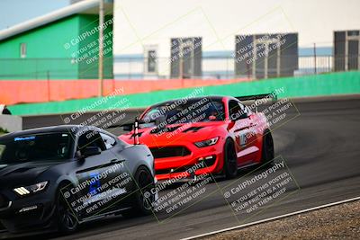 media/Feb-25-2024-Speed Ventures (Sun) [[b9a2a97a4d]]/Mustang Drivers Club/Session 1 (Turns 4 and 5)/